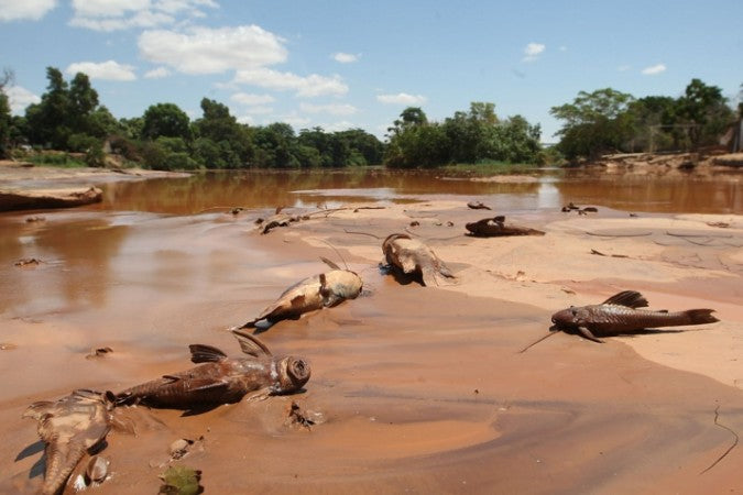 Diamond Rio explica: 15 riscos de metais pesados para a saúde humana